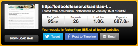 95% score i Pingdom Website Speed Test